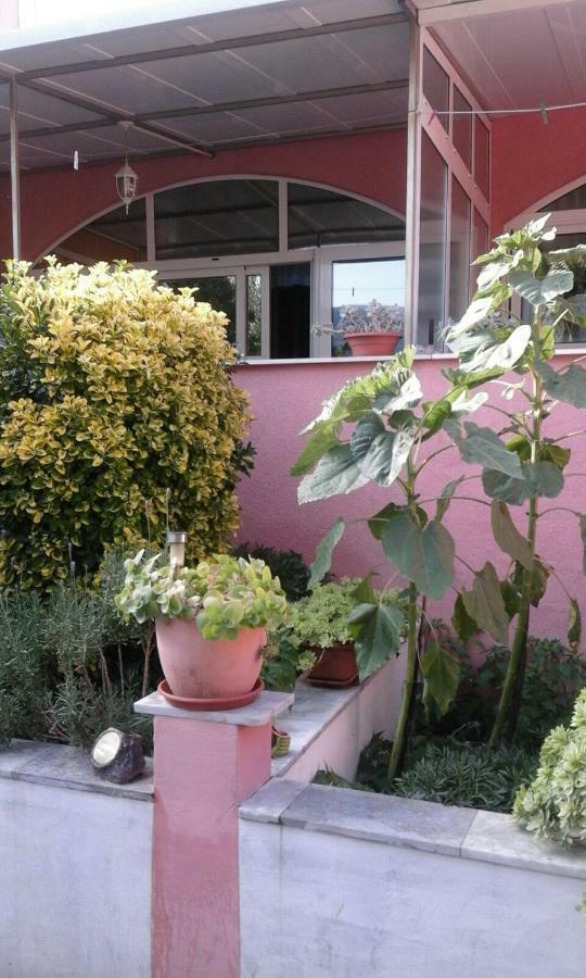 Apartments Ana Buratovic Stari Grad  Bagian luar foto